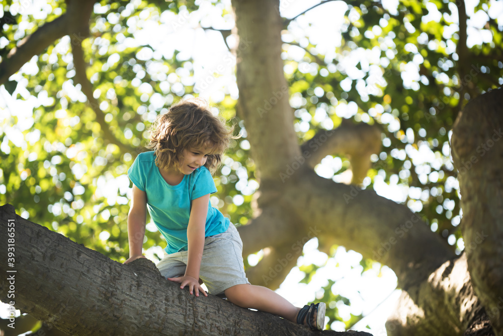 Naklejka premium Kids climbing. Child boy climbs up the tree in park. Outdoor fun for kids in country side.