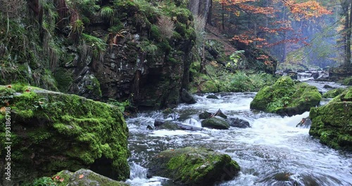 small wild river Doubrava in Czech Republic Valley in beautiful autumn with fall colors. Picturesque moving footage landscape. photo