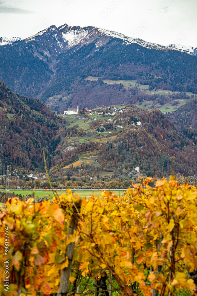Vineyard and a castle near Jenins Switzerland in the Autumn