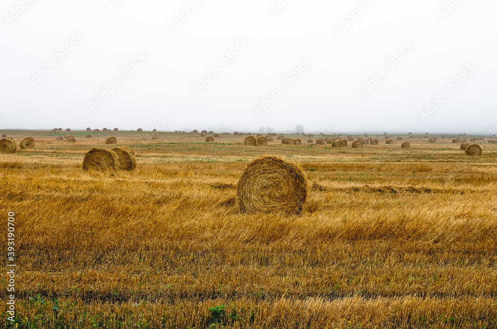 Fototapeta premium Misty morning and bales of straw on a meadow in the countryside
