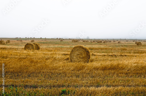 Misty morning and bales of straw on a meadow in the countryside