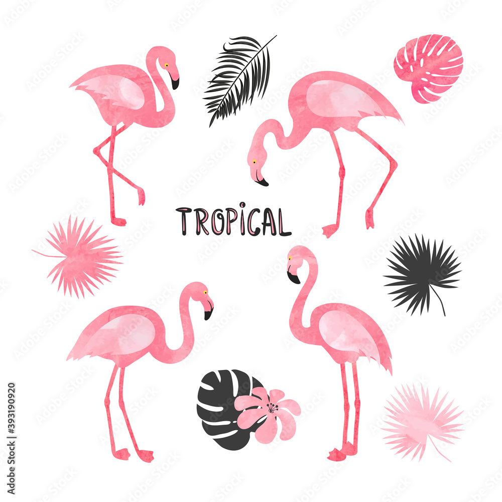 Obraz premium Set of watercolor flamingos isolated on white. Vector tropical illustration of beautiful flamingo birds and leaves.