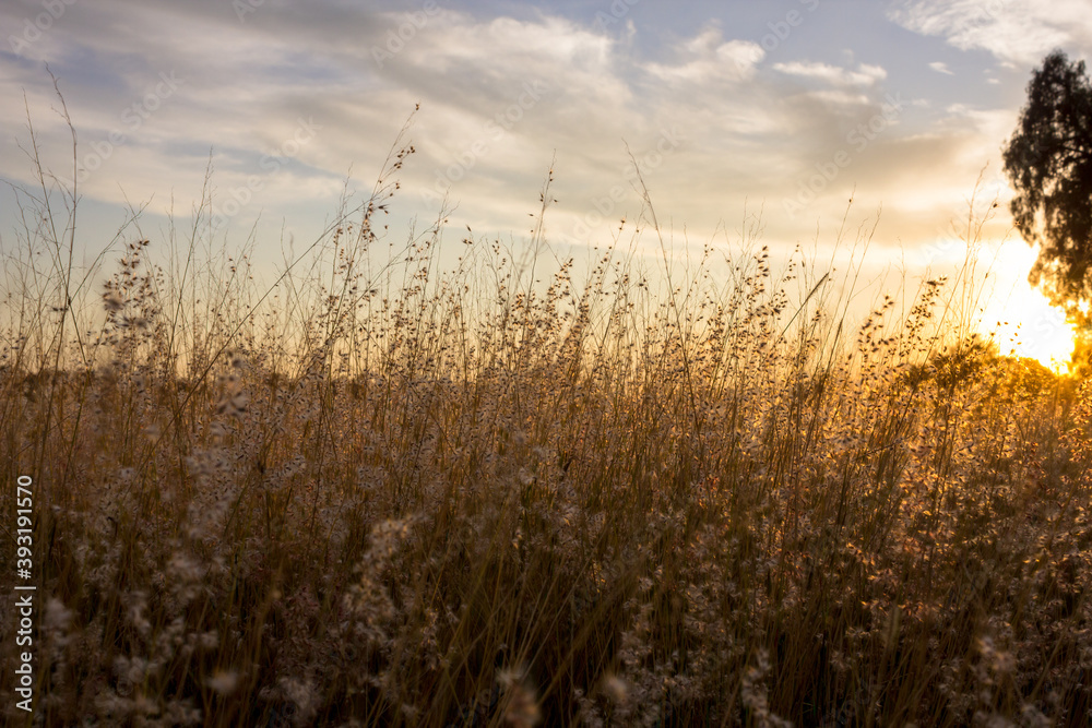 Fototapeta premium Dramatic sunset and sunrise over mountain morning