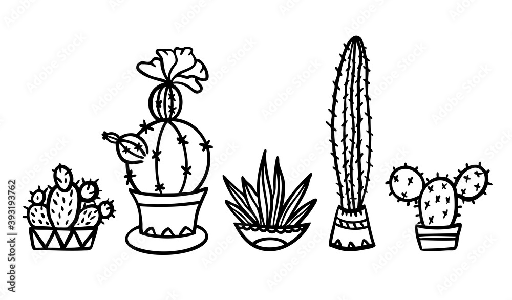 Succulent cactus flower pot vector print