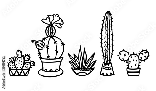 Succulent cactus flower pot vector print