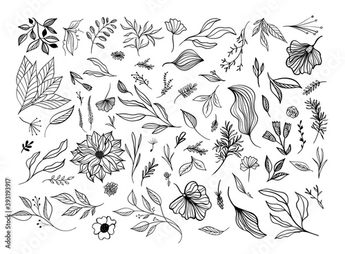 Wallpaper Mural Set abstract flower floral isolated on white. Vector Torontodigital.ca