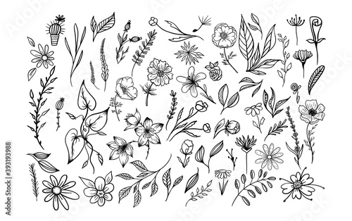 Set abstract flower floral isolated on white. Vector