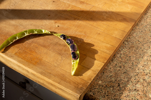 Schilderij op canvas Open pod of heirloom scarlet runner beans on light wooden cutting board