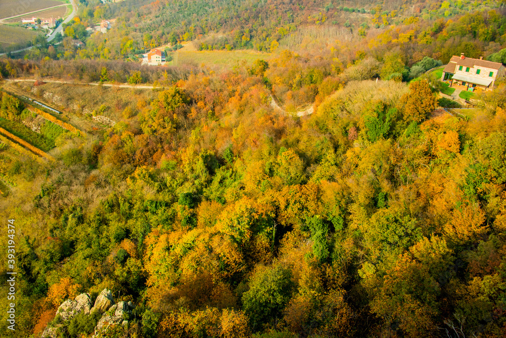 autumn woods in the Euganean hills
