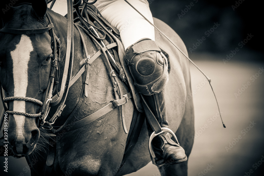 Polo pony, player saddle, stirrups, leg guards and playing mallet of a