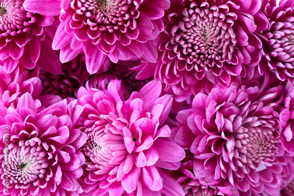 菊の花束のクローズアップ画像　
