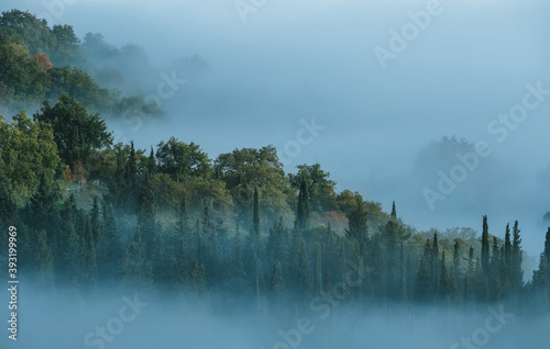 Early morning beautiful Chianti region, Tuscany hills misty landscape view. Spruce and cypress trees sinking in foggy clouds on the mountain slopes. Florence province, Italy.