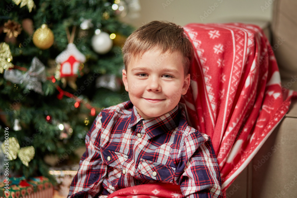 A beautiful little boy looks at the camera next to a Christmas tree. Next to the sofa is decorated with a red blanket. New year and Christmas celebrations. A beautiful little boy looks at the camera next to a Christmas tree. Next to the sofa is decorated with a red blanket. New year and Christmas celebrations.