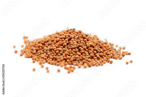 White mustard seeds for germination in heap isolated on a white background