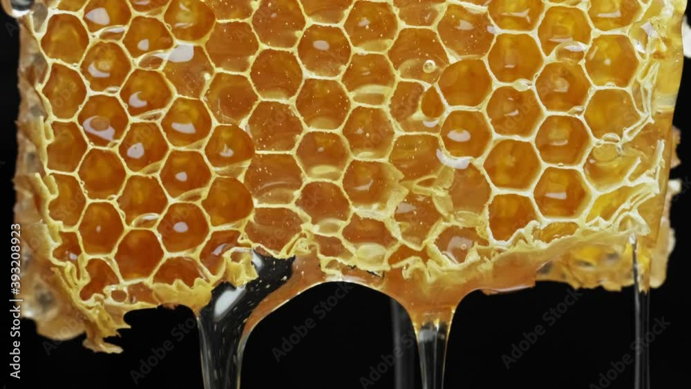 Bee honeycomb wax with honey. Honey dripping from honey comb.