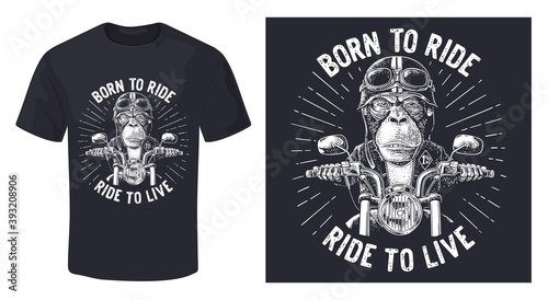 Monkey driving a motorcycle rides. Vector vintage engraving