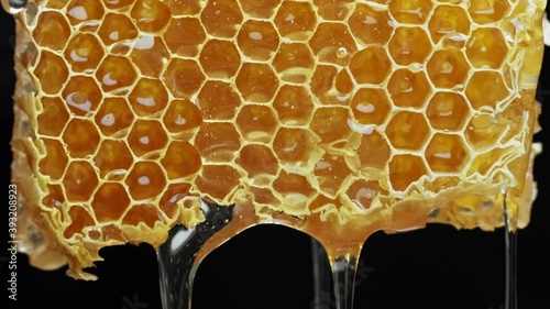 Bee honeycomb wax with honey. Honey dripping from honey comb.