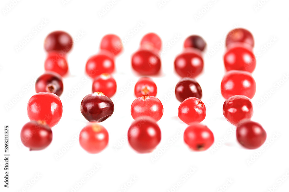 Cranberries Cranberries