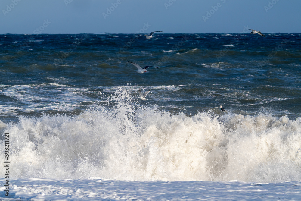 Fototapeta premium 荒れた海