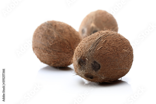 Coconuts in studio