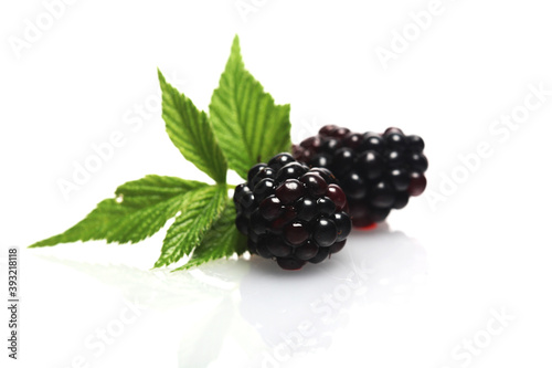 Blackberries on white background - studio shot