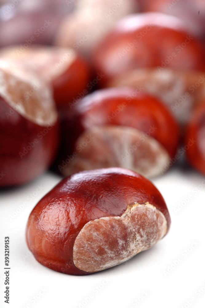 Obraz premium Chestnut on white background - studio shot