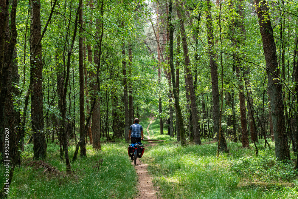 Obraz premium Cyclist on a forest road in summer