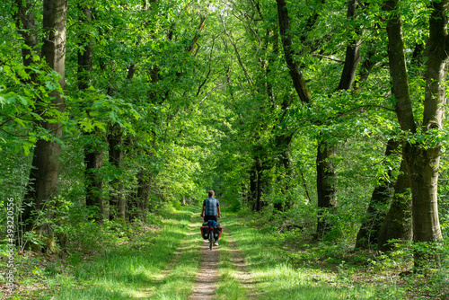 Cyclist on a forest road in summer