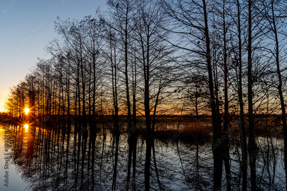Sunrise Tree Line Vanishing Point Sunrise Tree Line Vanishing Point