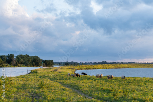 A serene landscape featuring a field and a river, showcasing the natural beauty of the outdoors.