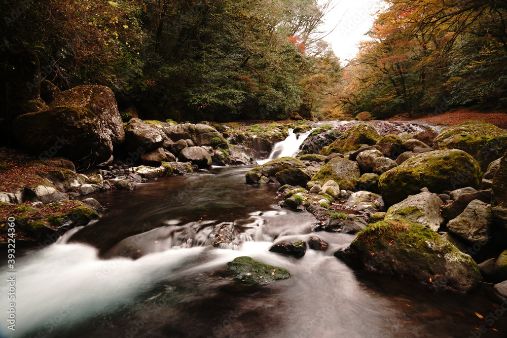 紅葉と落ち葉が積もった菊池渓谷の秋の風景