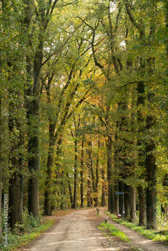 Doetinchem  Netherlands - oktober 2020