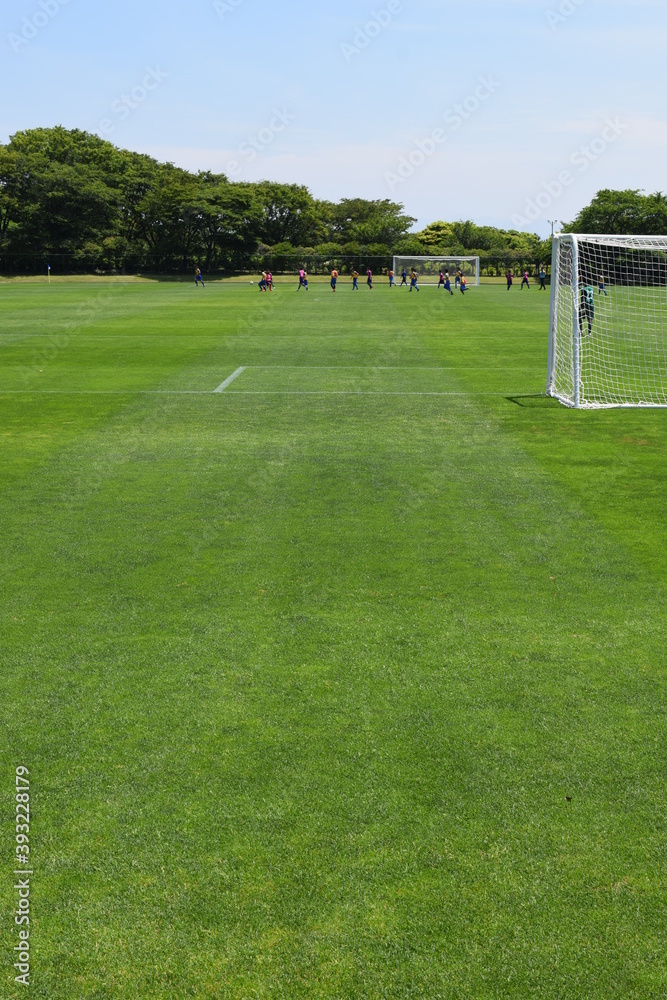 Fototapeta premium サッカー場 ゴールネット