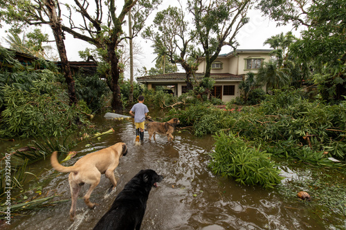 Naga City, Philippines - November 1, 2020: Aftermath of the super typhoon Goni. A young boy walking with his dogs in front of his flooded residence observing the destruction of the super typhoon Goni,