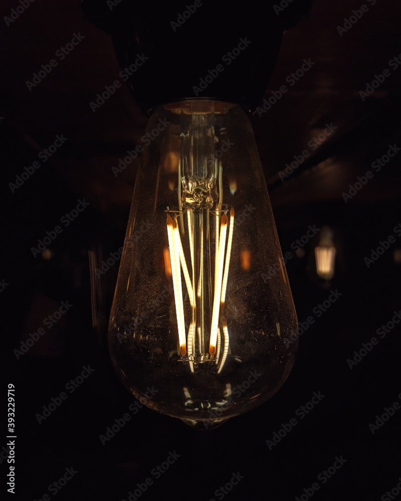 bulb in low light, seen up close