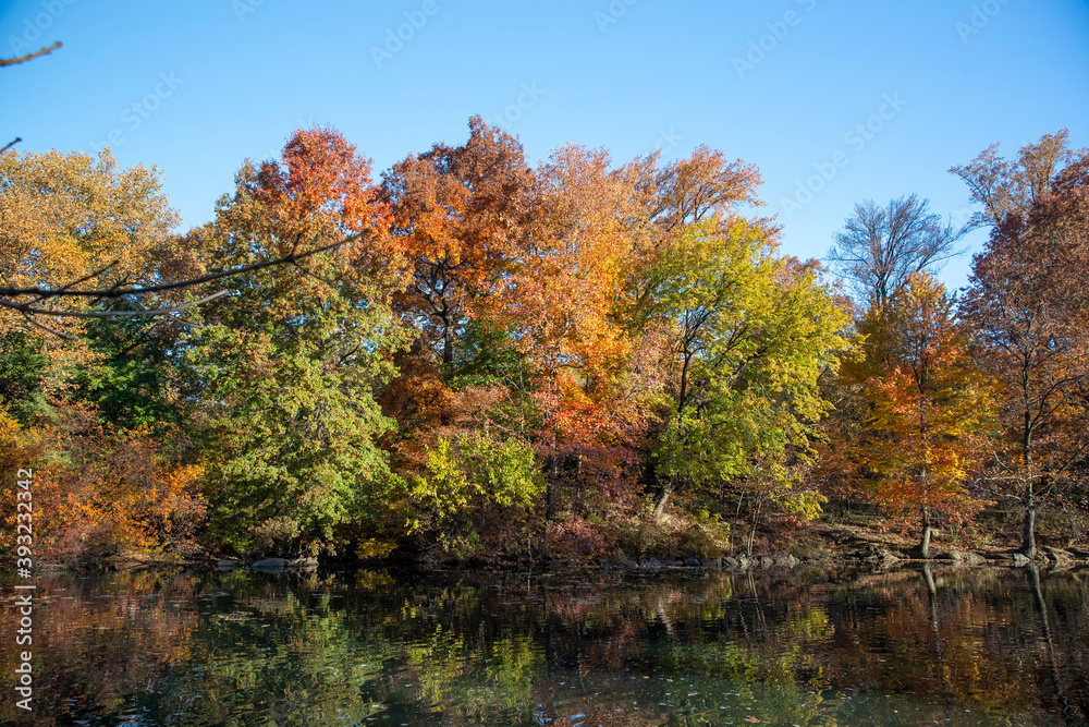 Trees and buildings reflect off the Pool in Central Park, New York City.