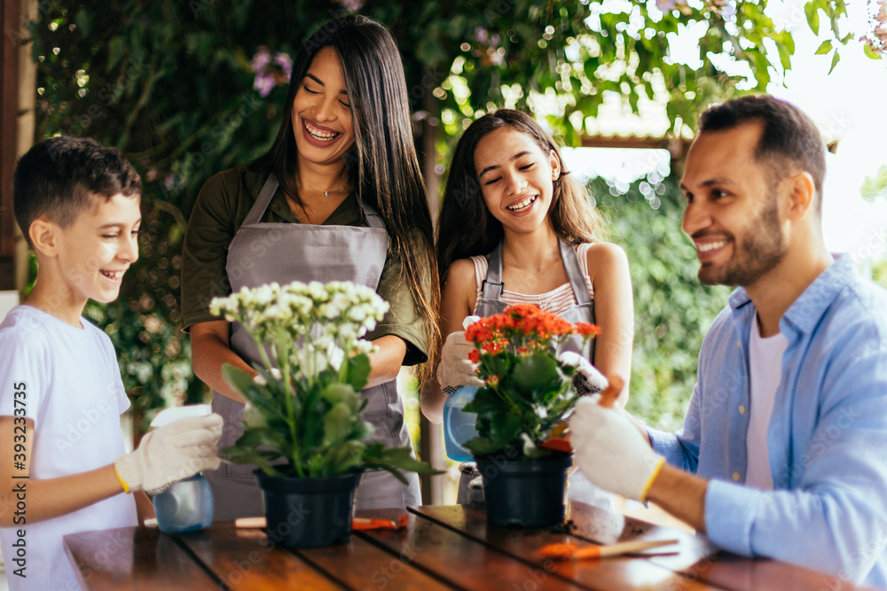 Latin family taking care of the plants at home. Latin family taking care of the plants at home.