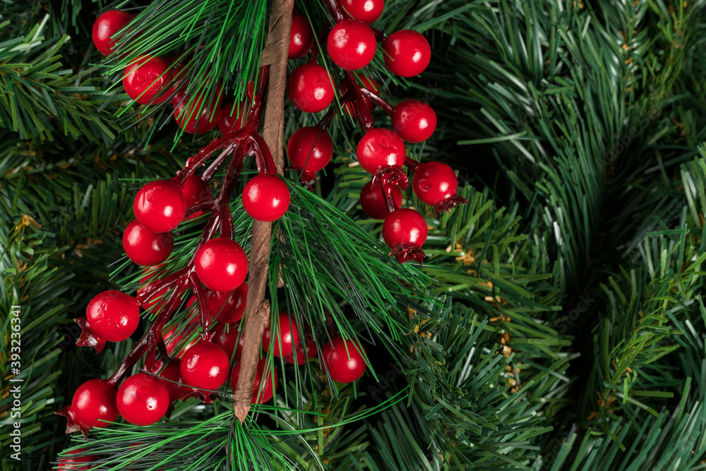 Fir branches with red fruits, christmas decoration on a tree branches background. Flat lay, top view, copy space