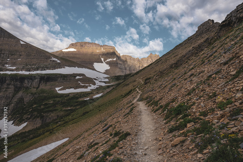 Thin Trail Heads up to Piegan Pass photo