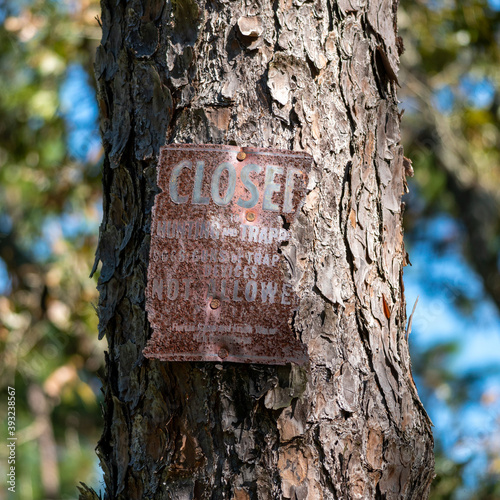 An old, rusted, no-hunting, no-trapping sign on a tree in the woods