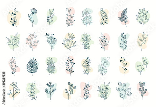 Vector set of nerd elements with circles of different colors on an isolated background. Tropical plants, leaves and branches with flowers. Hand drawn style. For printing on fabric and clothing,