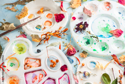 Art botany flat lay with watercolor palettes, leaves and petals, nature and art concep