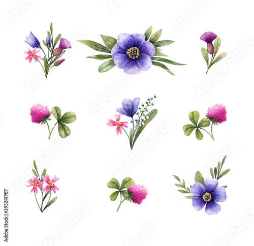 Fototapeta Naklejka Na Ścianę i Meble -  Meadow flowers set bellflower, cirsium, clover and other. Watercolor illustration. Floral elements isolated on white background.