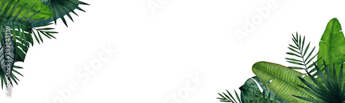 Banner with tropical leaves; monstera, palm, banana, saw palmetto, calathea. Watercolor illustration isolated on white background.
