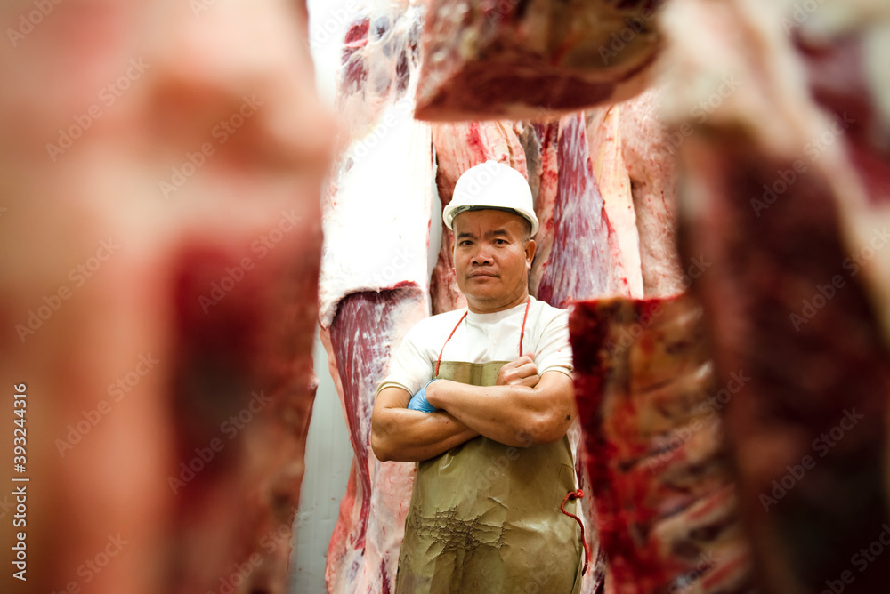 A professional butcher in the factory's cold storage with the carcass of Japanese Wagyu beef in the background. Slaughterhouse food production