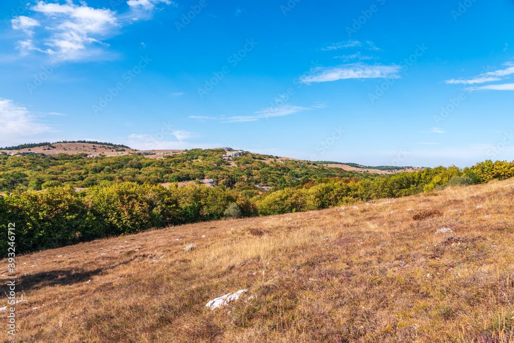 Autumn steppe landscape on a mountain plateau with low trees. Autumn steppe landscape on a mountain plateau with low trees.