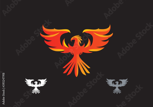 modern abstract flying phoenix bird vector icon