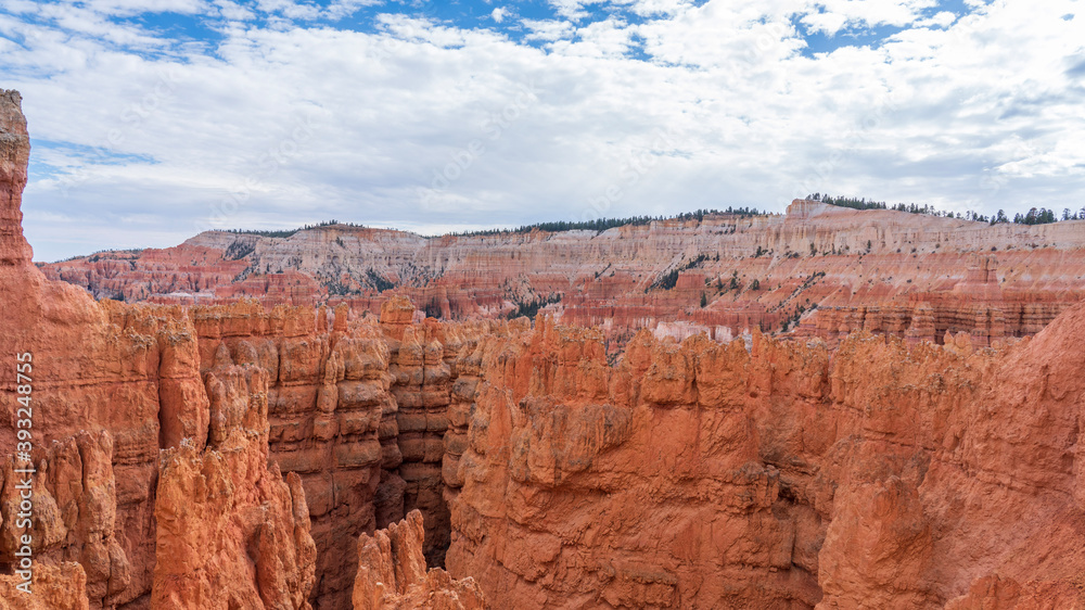 Fototapeta premium park