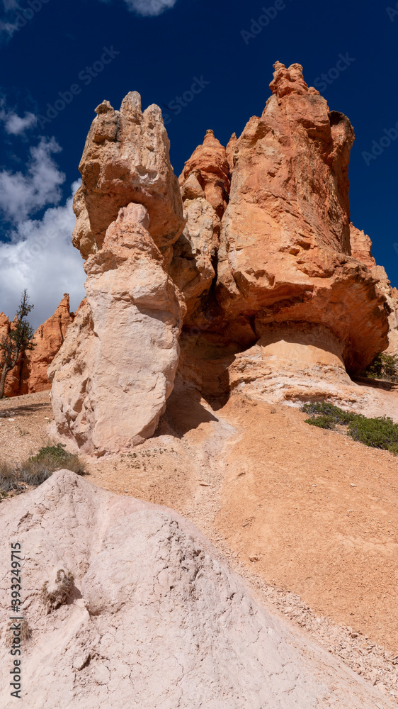 Fototapeta premium park state