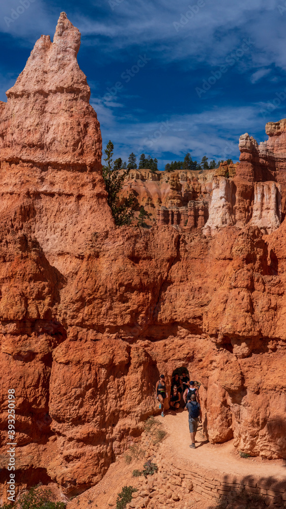 Fototapeta premium park